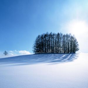 美少女日逼视频
