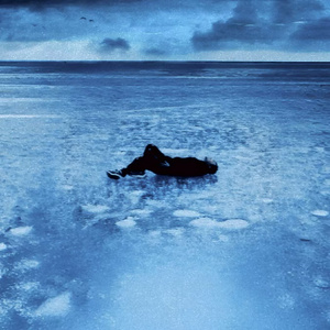 美少女日逼视频
